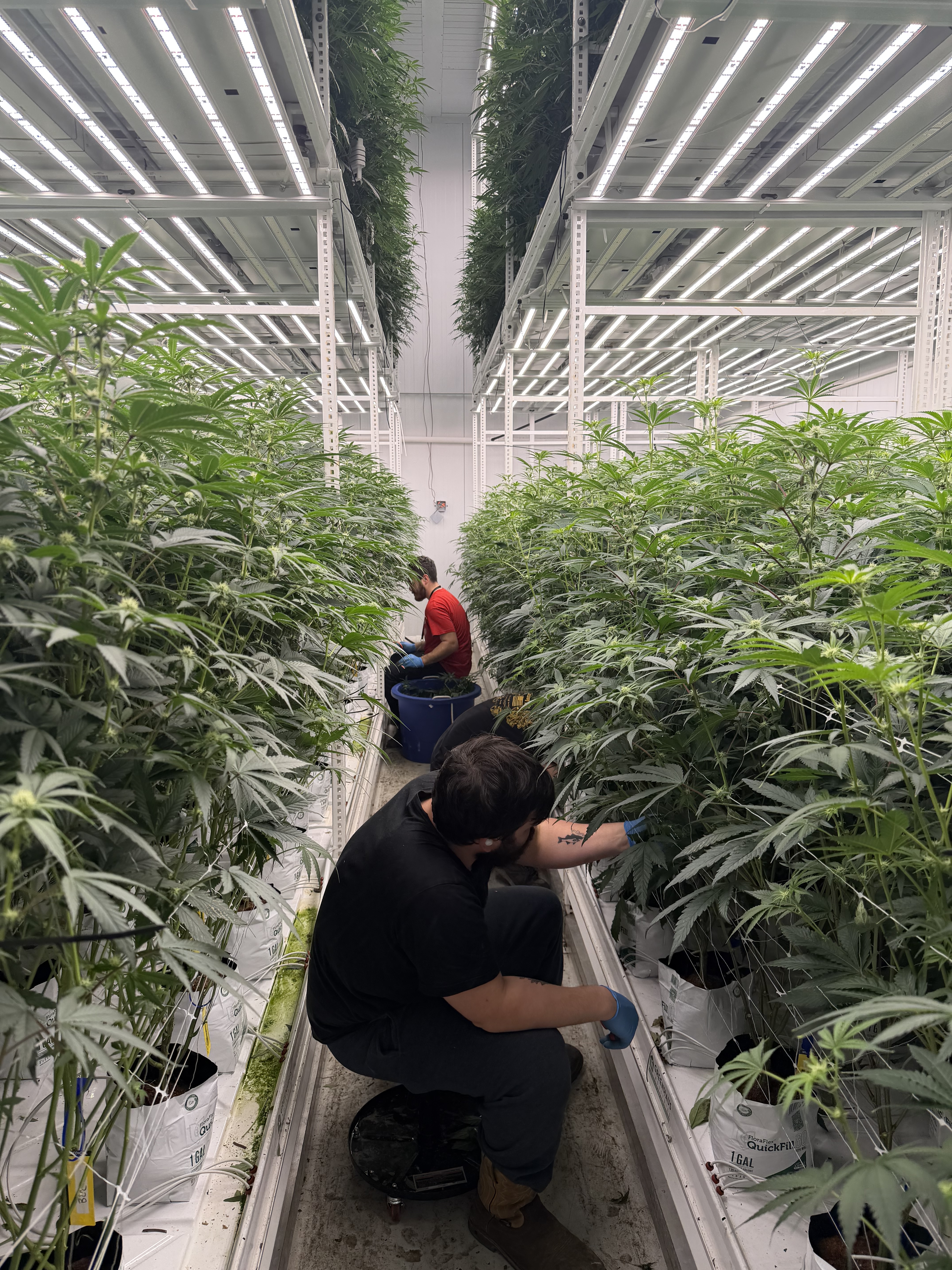 Grow Room Team