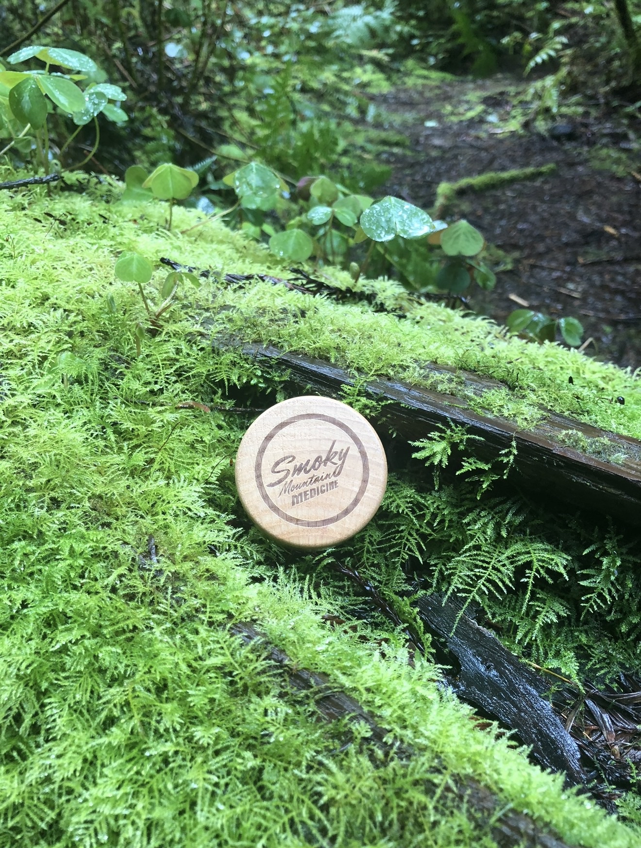 Wooden Lid on Moss