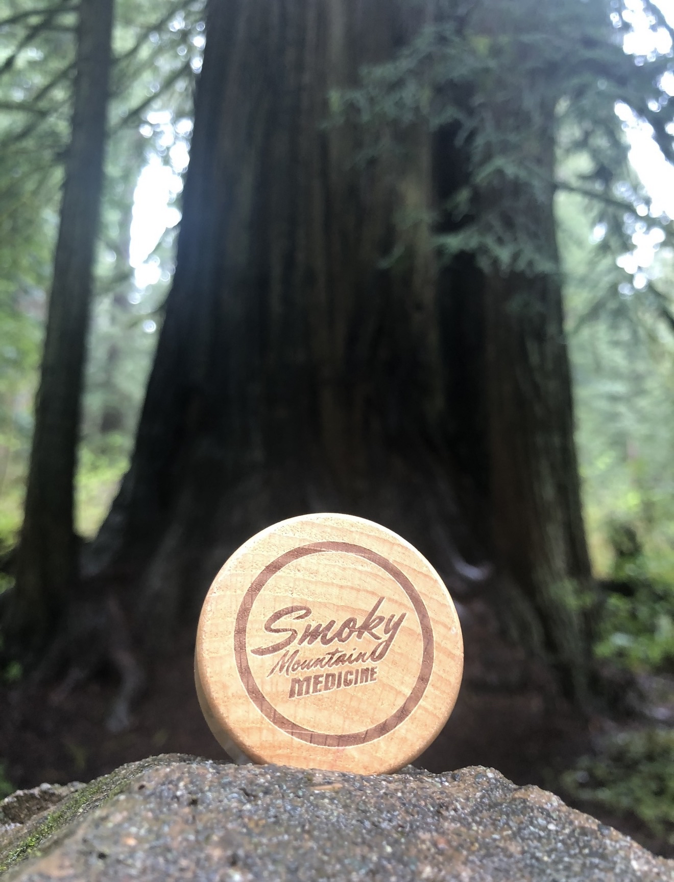 Wooden Lid at Redwood